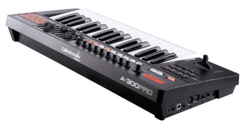 ROLAND A-300PRO фото 6